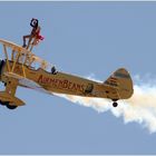 Wing - Walking - Lady