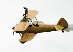 Wing Walking - Peggy Krainz