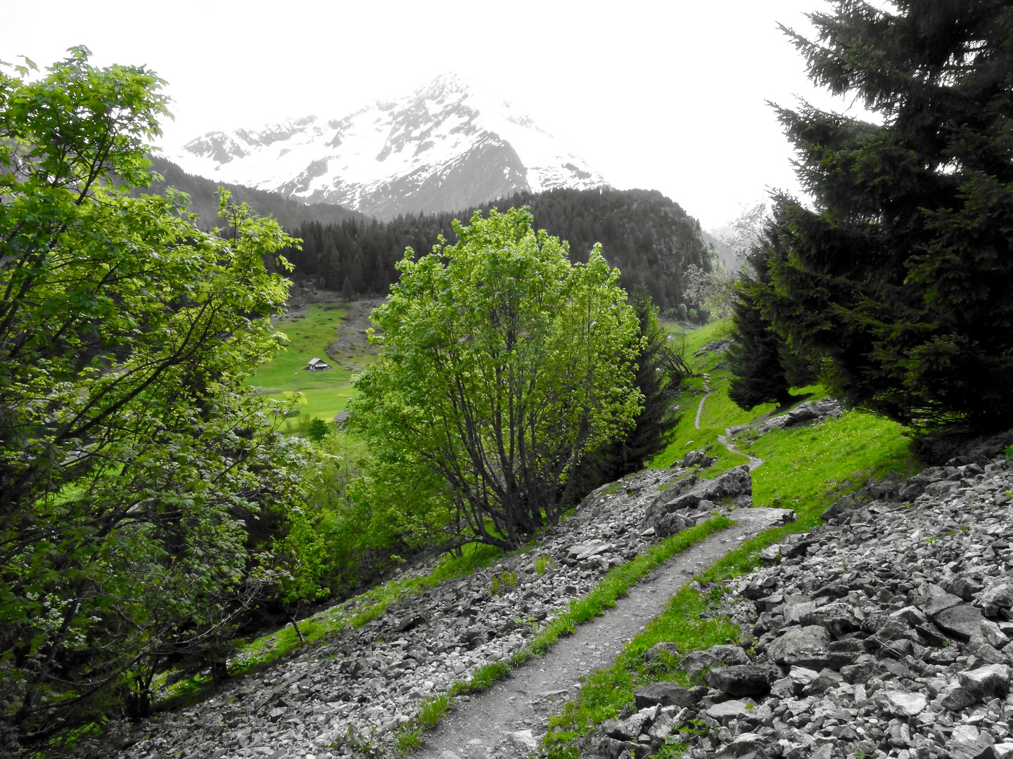 Wingällenweg  , Golzern