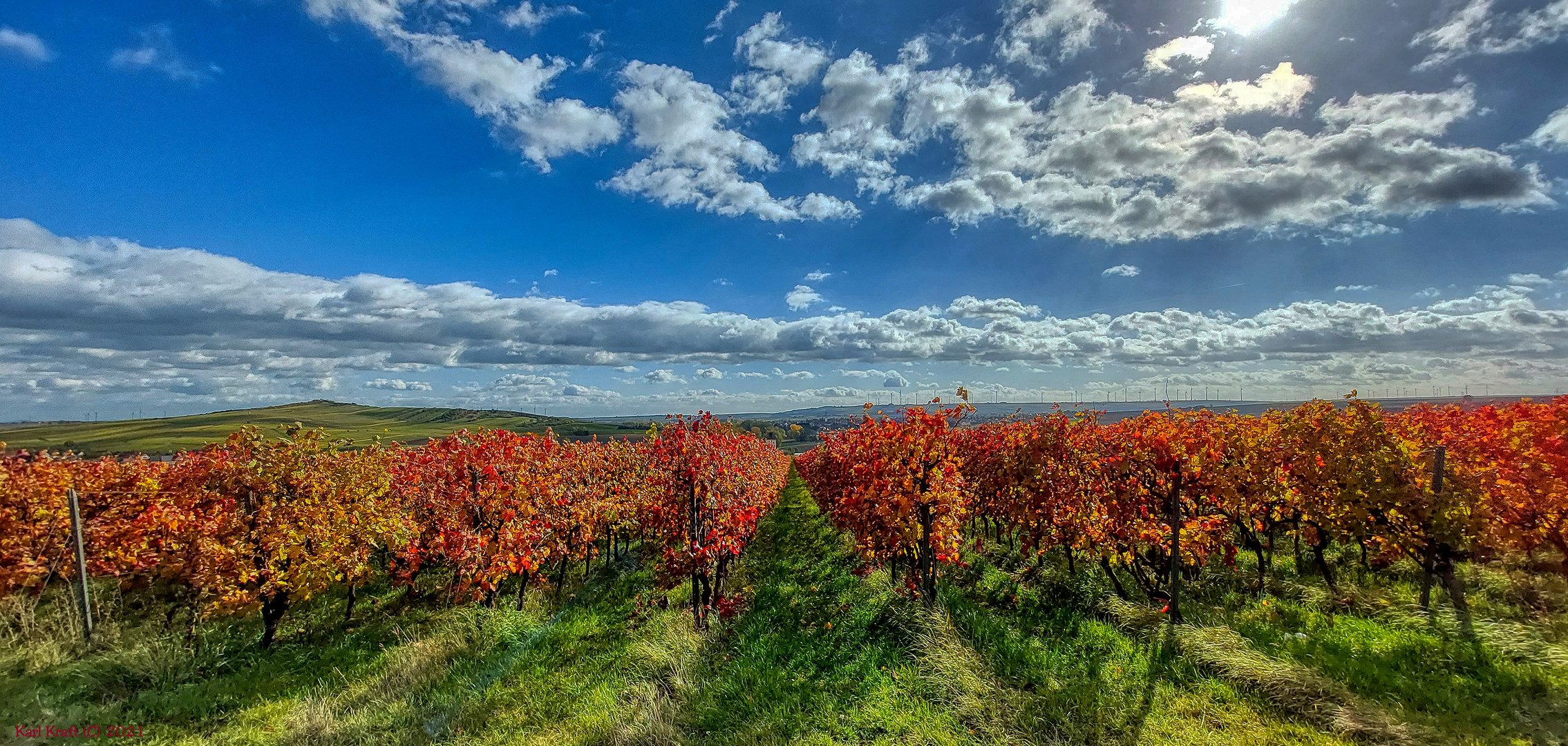 Wingert im Herbst