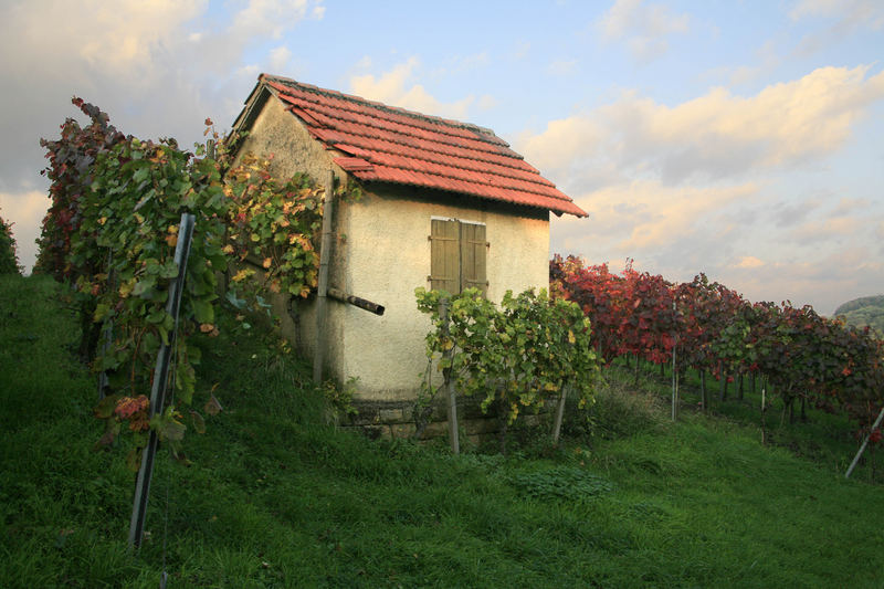 Wingert in HDR