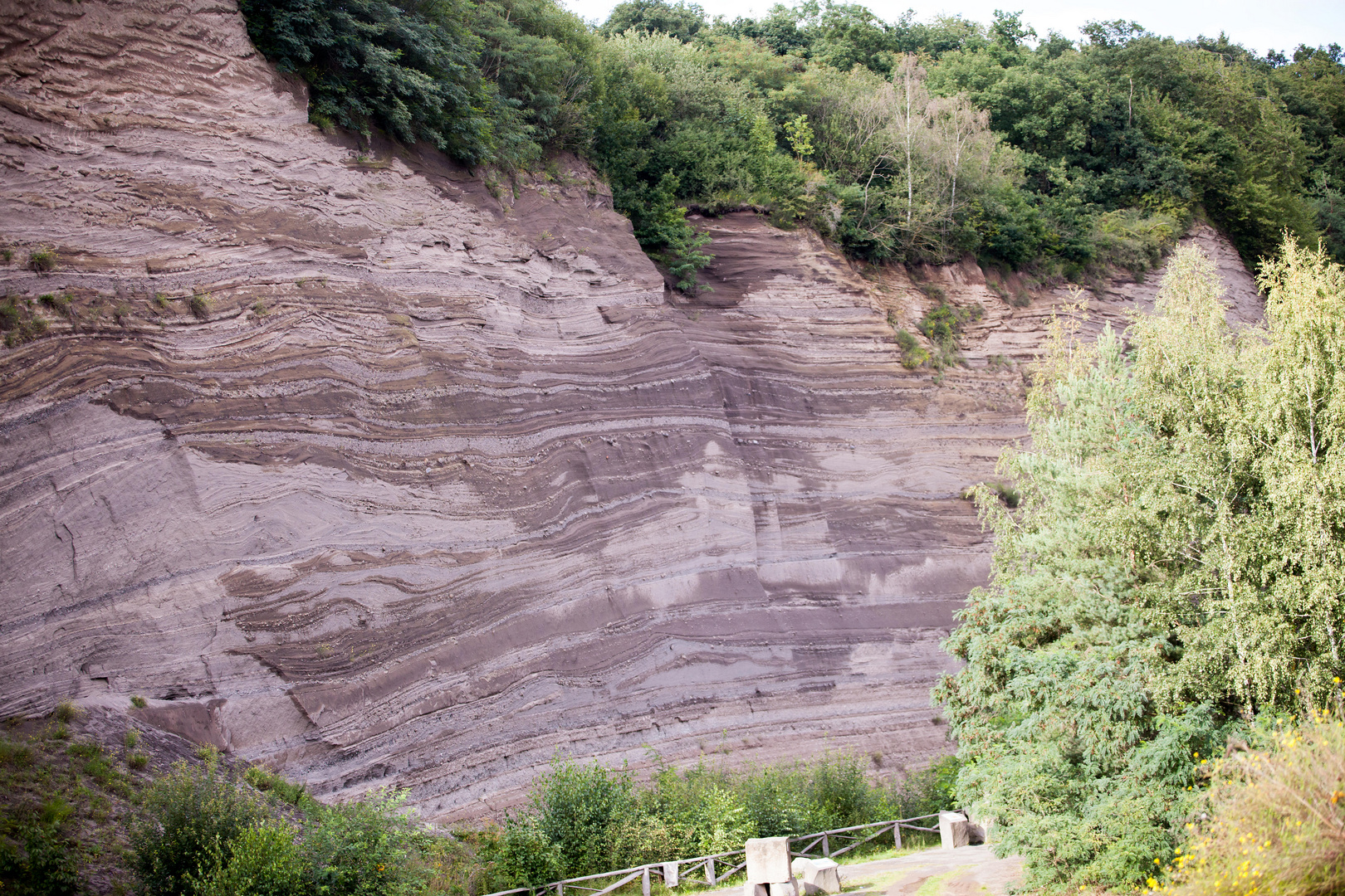 Wingertsbergwand