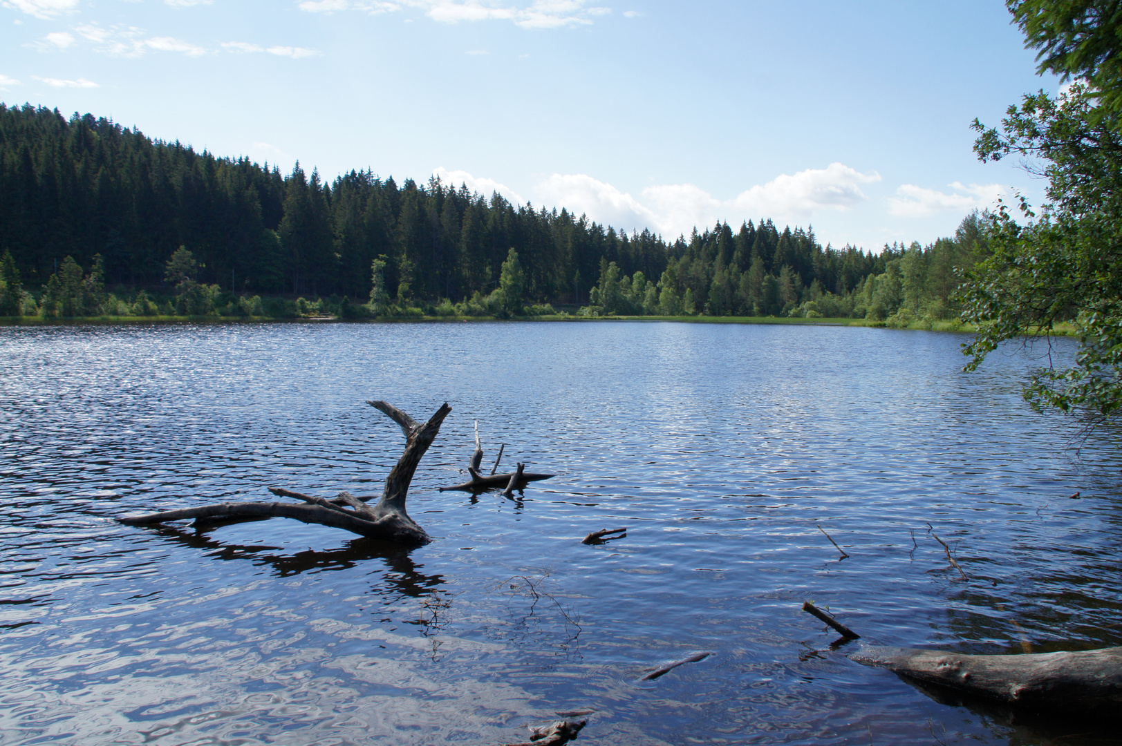 Wingfällweiher, Schwarzwald