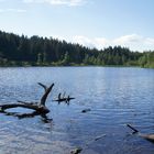 Wingfällweiher, Schwarzwald