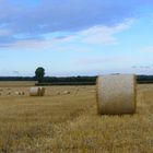 Wingham well Panorama