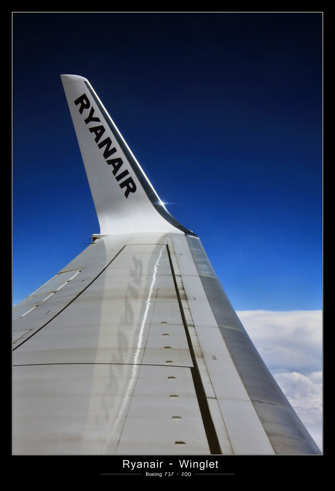 Winglet