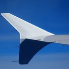 Winglet