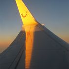 winglet II