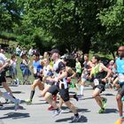 Wings for Life World Run 2018 - Läufer