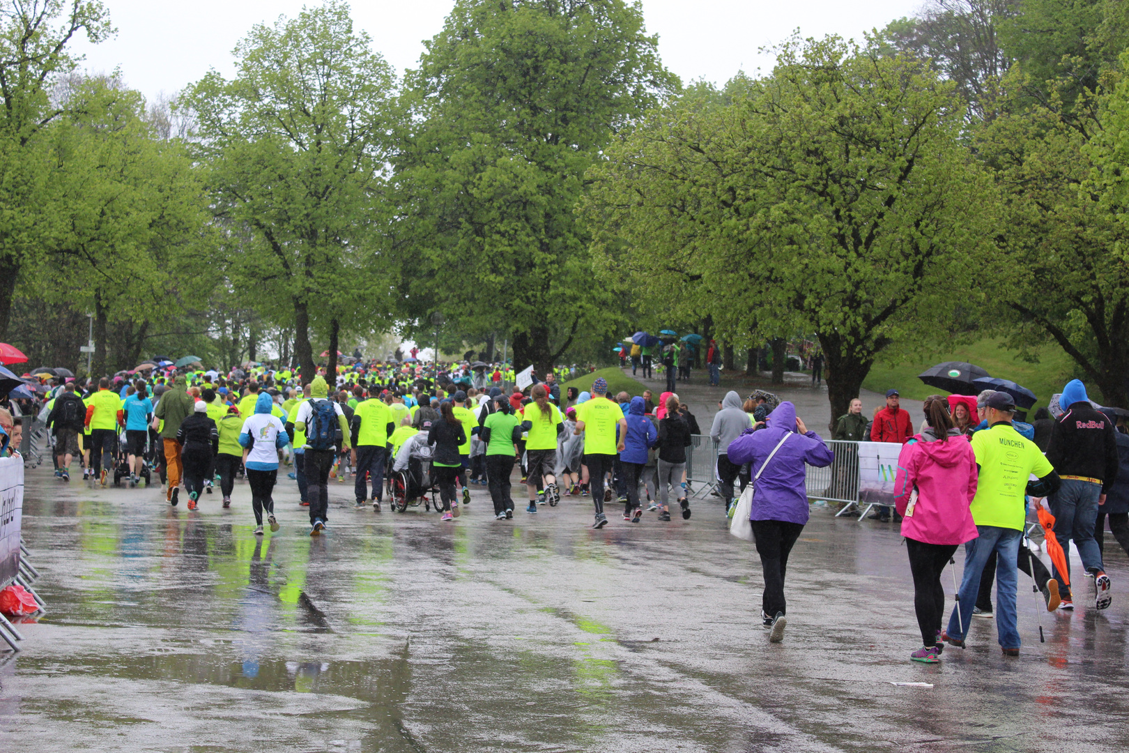 Wings for Life World Run Deutschland München 2017-Raus aus dem Startbereich!