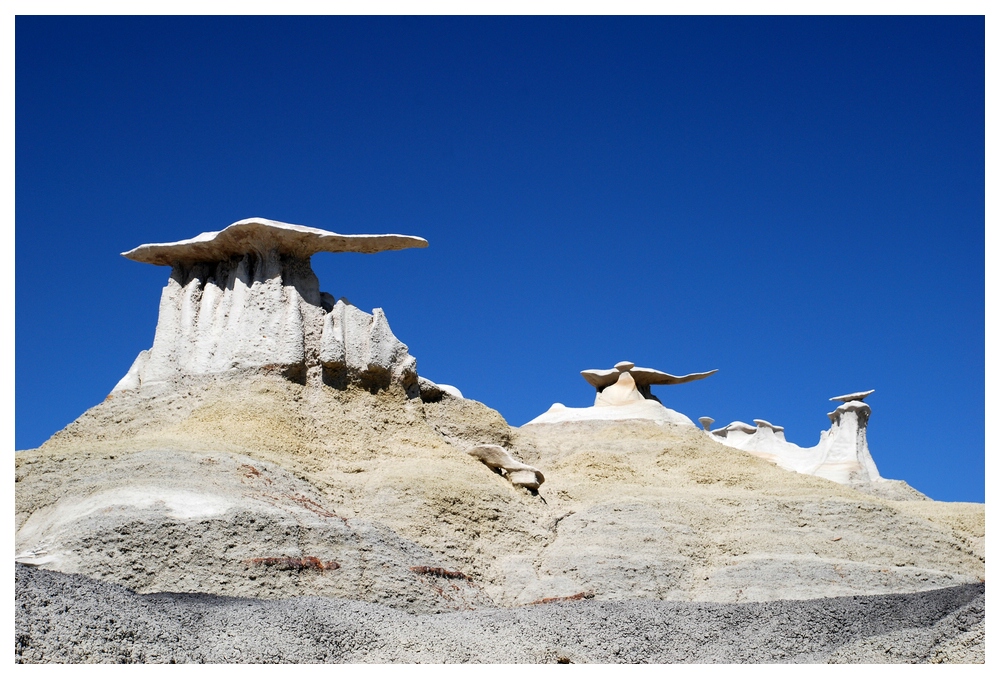Wings of Stone (Bisti Wilderness/ New Mexico)