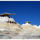 Wings of Stone (Bisti Wilderness/ New Mexico)