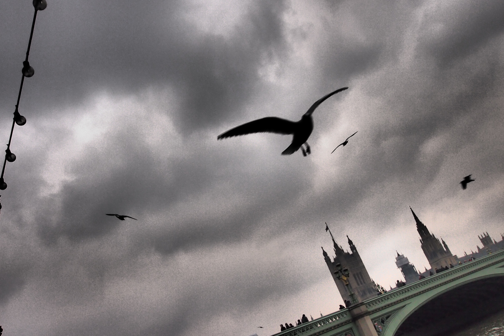 Wings over London