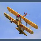 wingwalker