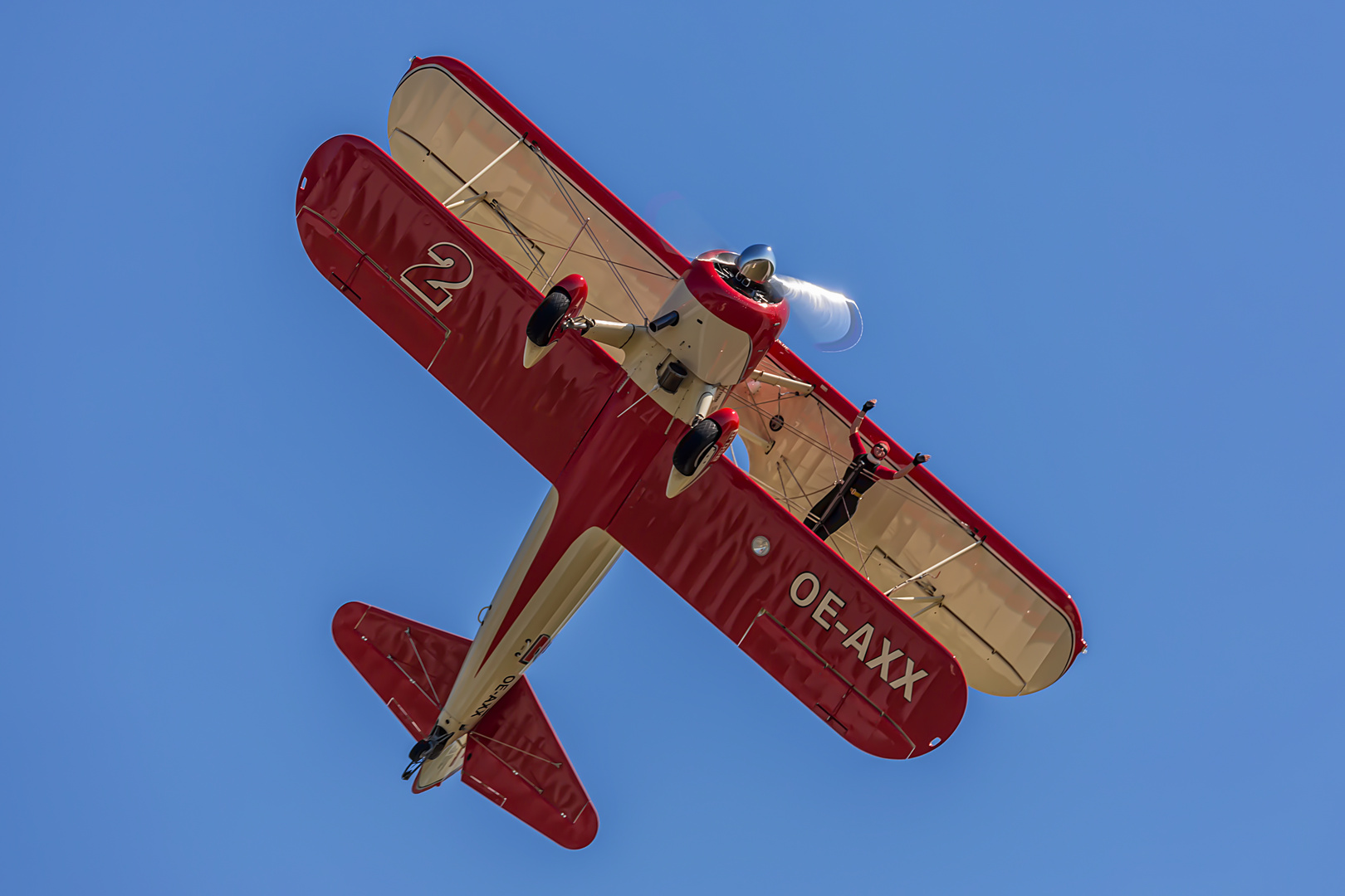 Wingwalker