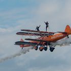 Wingwalker