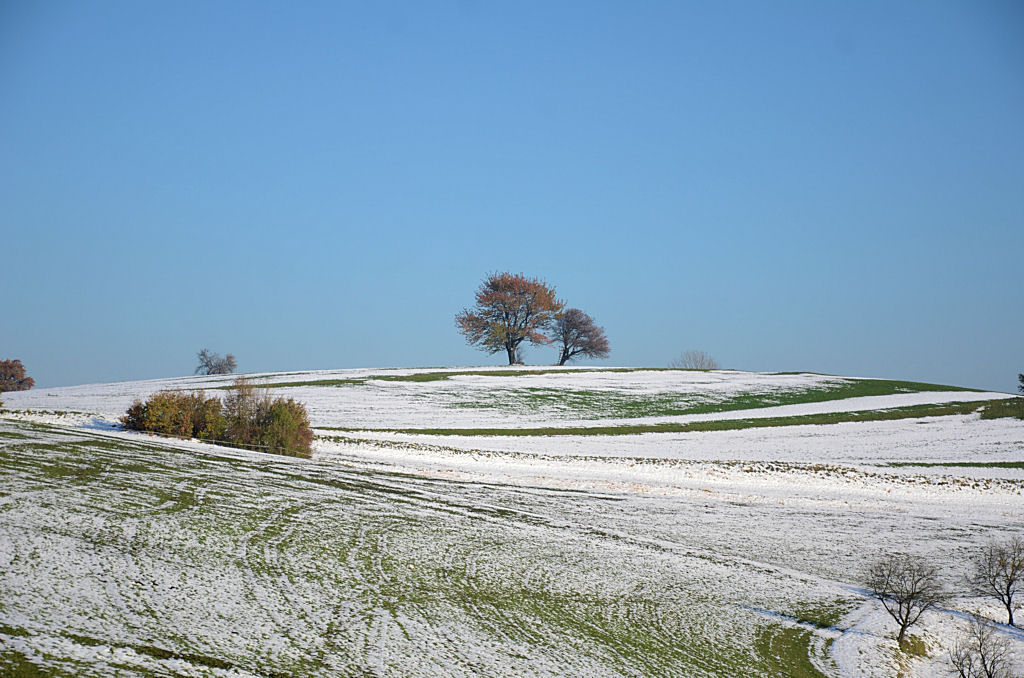 Winherbst