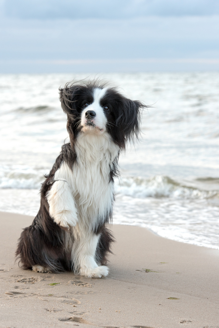 Winke Winke an der schönen Ostsee