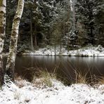 Winkelhaid - Erster Schnee