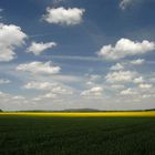 Winkelhaid Frühling