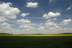 Winkelhaid Frühling