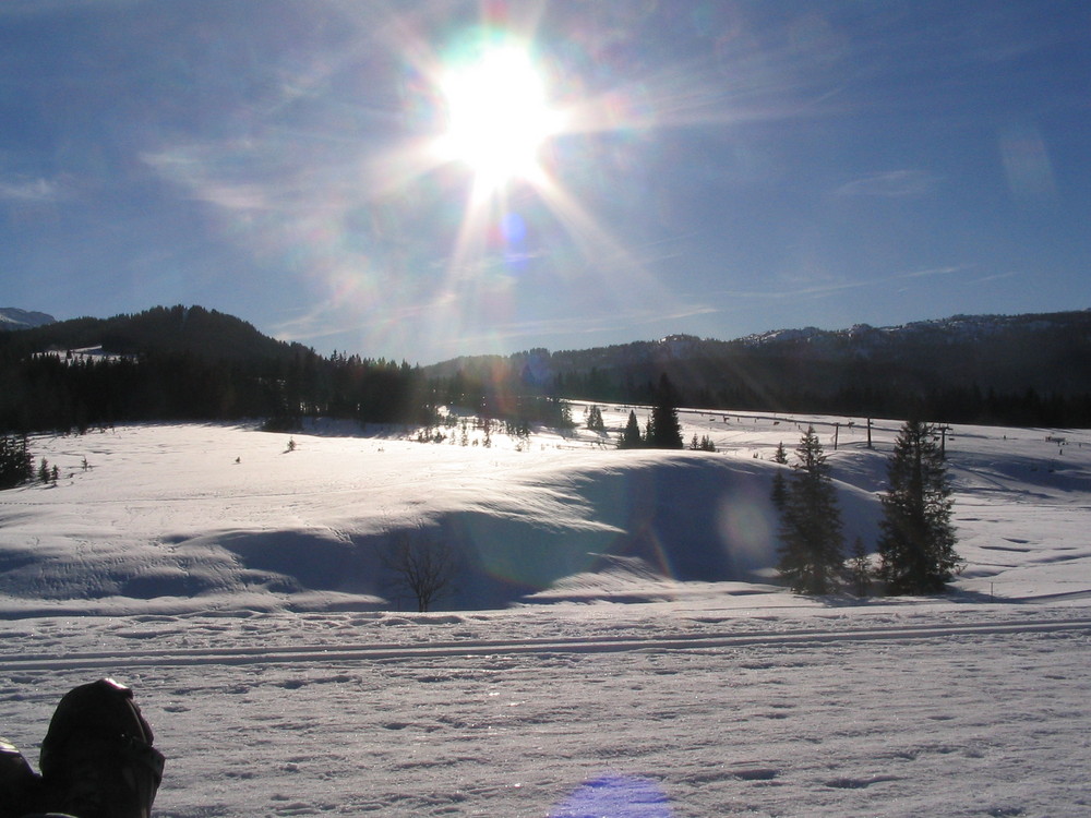 Winkelmoosalm im Sonnenlicht