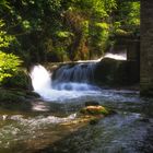 Winkelsmühle am Lauf der Düssel