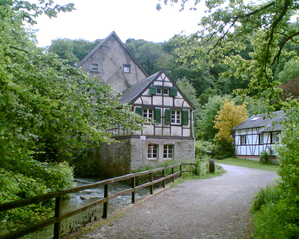 Winkelsmühle im Düssel-Tal