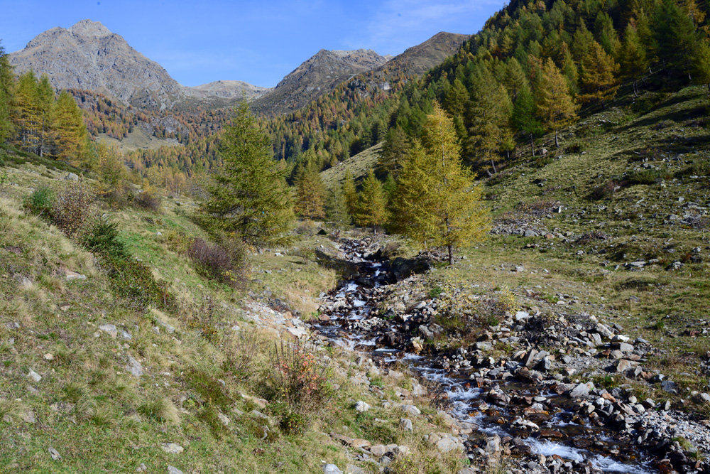 Winnebachtal  am 19.10.14