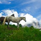 Winnetou lässt grüssen