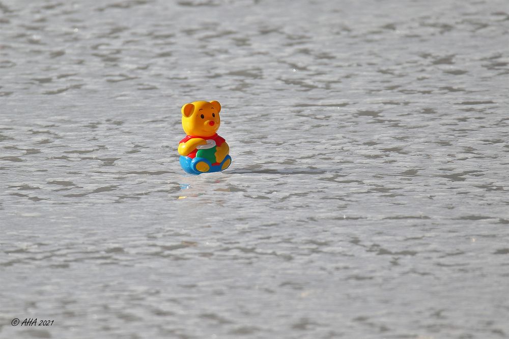 Winnie Puuh allein auf dem Eis