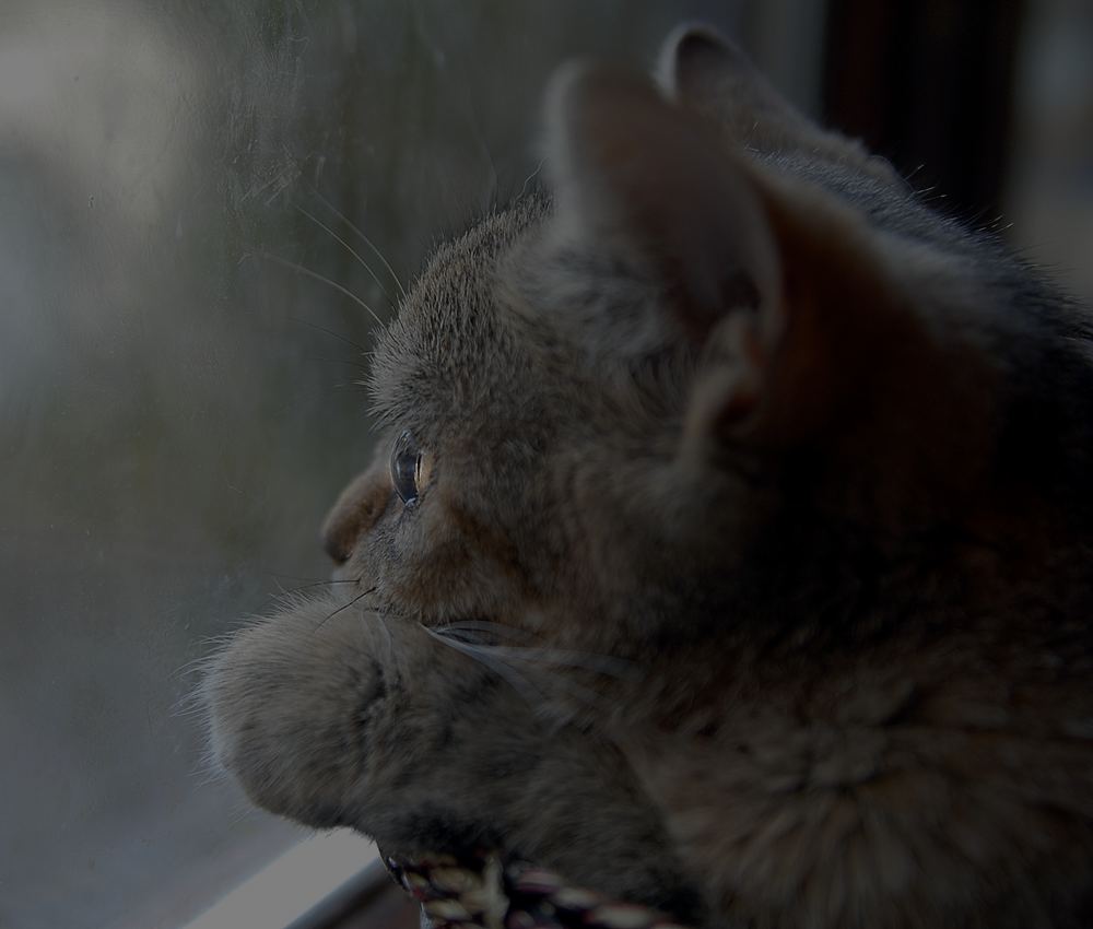 Winnie Winzling hasst dieses trübe Regenwetter...