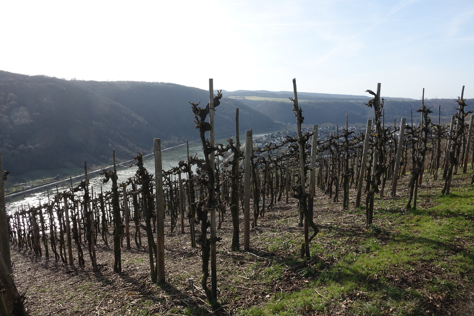 Winninger Weinberge (1)