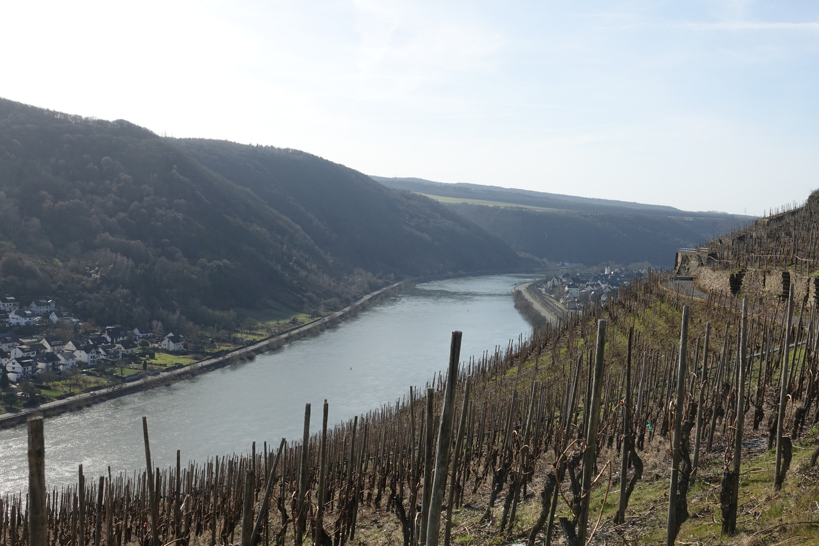 Winninger Weinberge (3)