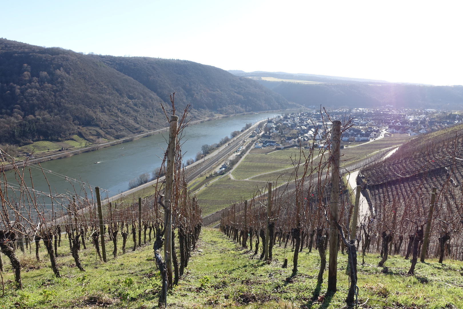 Winninger Weinberge (4)