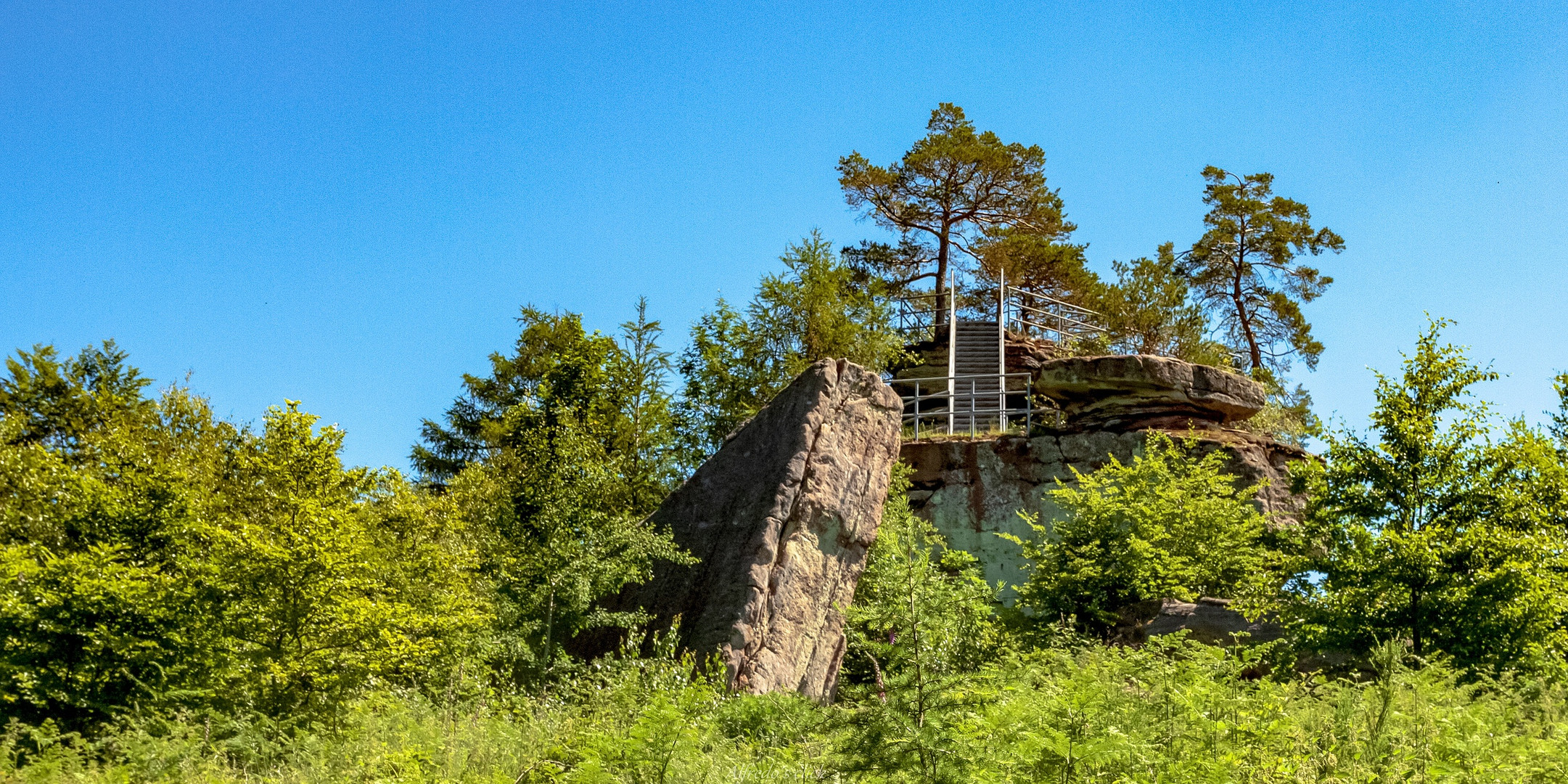 Winschertfelsen bei Merzalben im Pfälzer Wald *