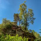 Winschertfelsen bei Merzalben im Pfälzer Wald