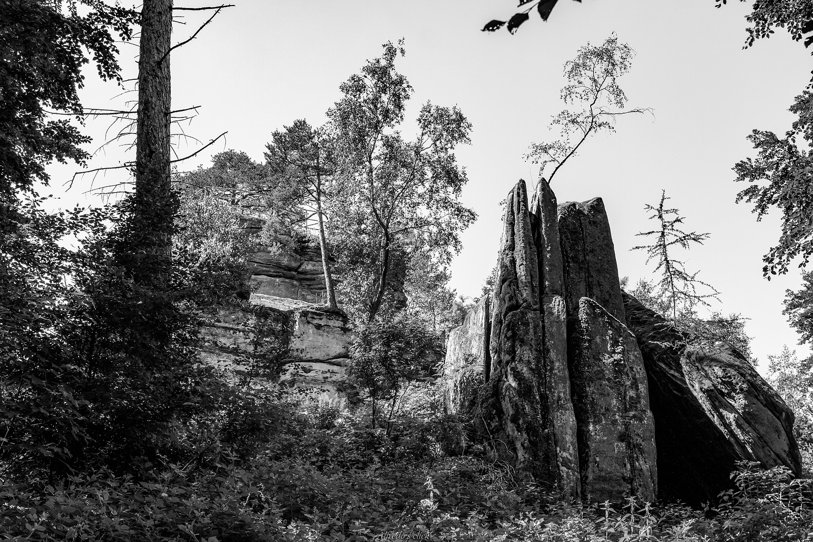 Winschertfelsen in der nähe der Burgruine Gräfenstein in SW  in SW