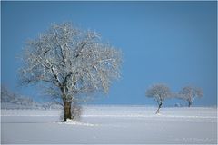 Winter 01