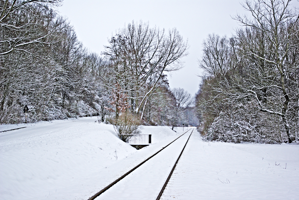 Winter 01 in Hamburg