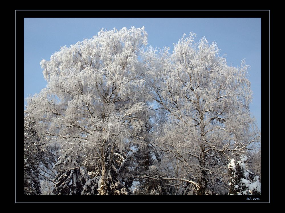 Winter (10)