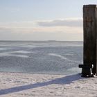 Winter 100221_MG_0122