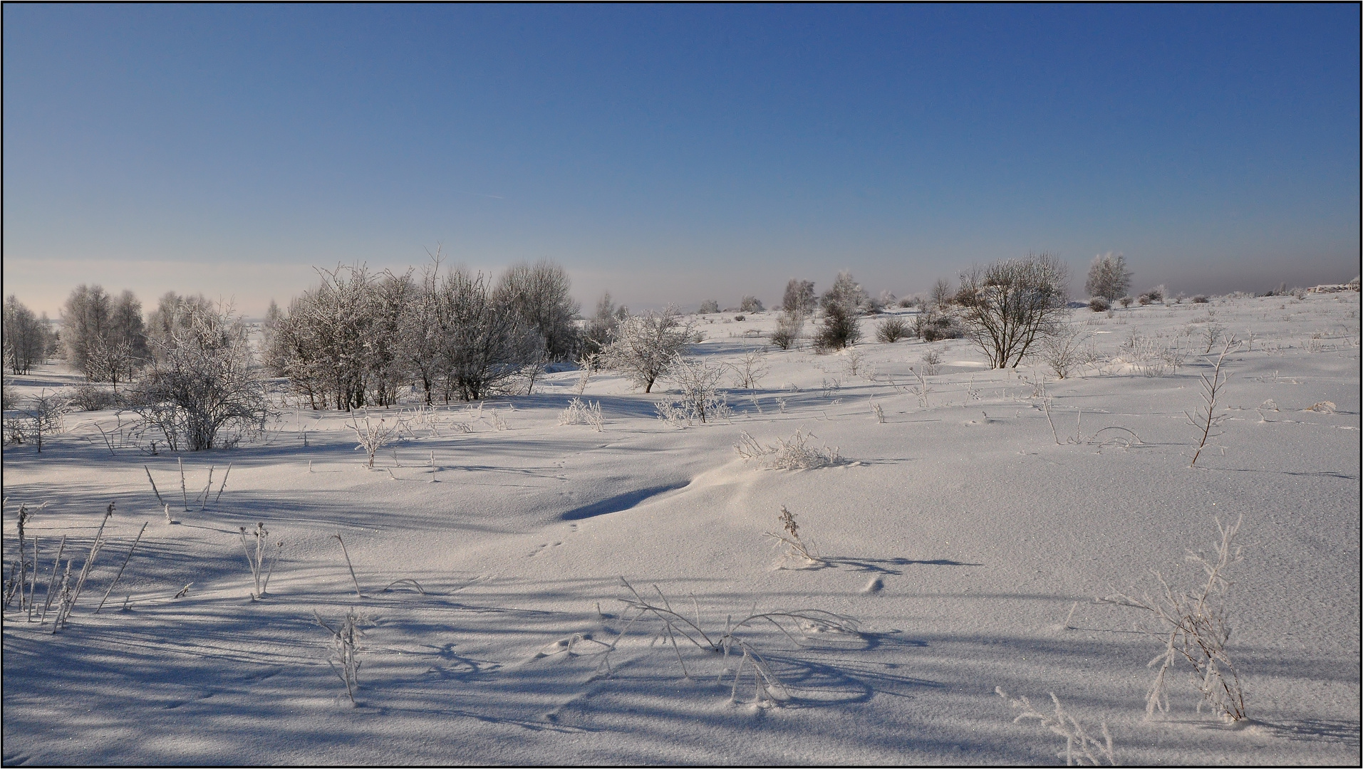 Winter 10/11, Naturschutzgebiet.....