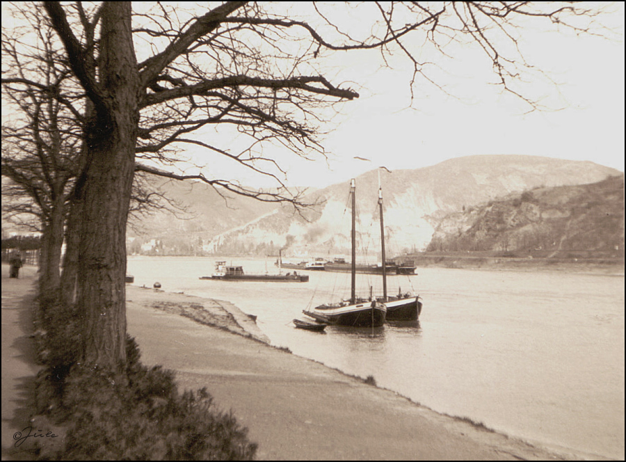 Winter 1951 am Rhein, ...