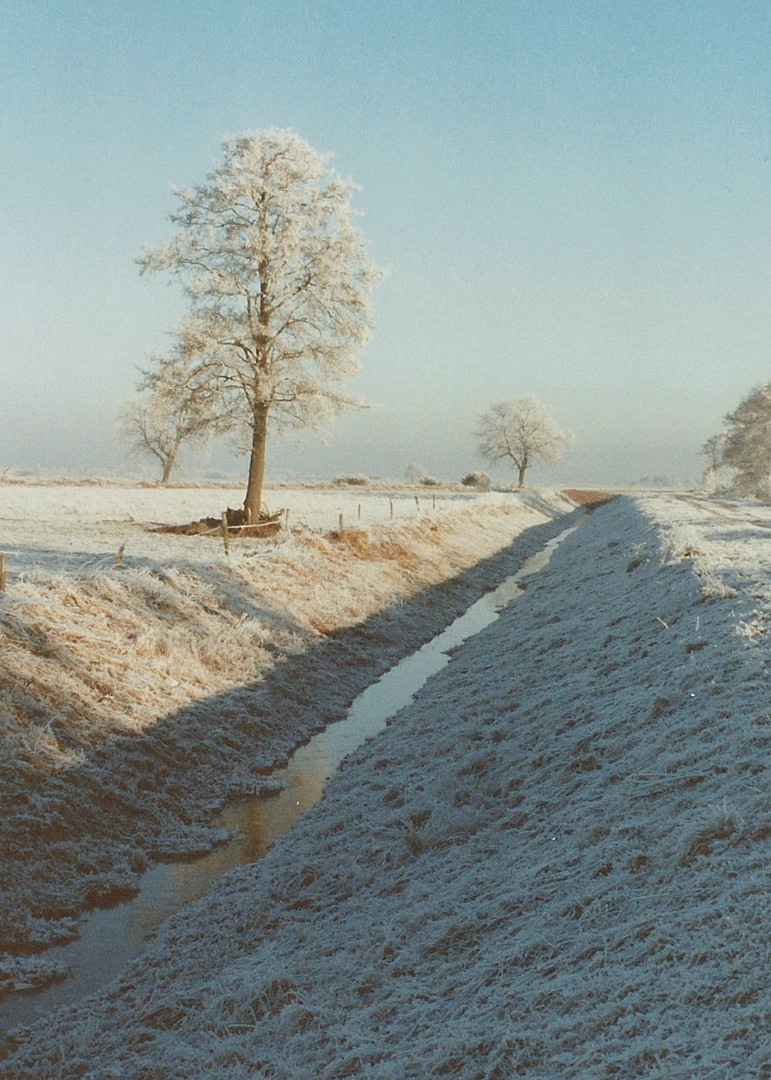 Winter 1991 in Börger