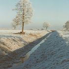 Winter 1991 in Börger