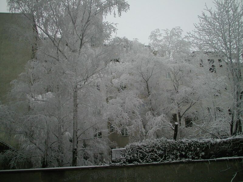 Winter 2002 - 2003