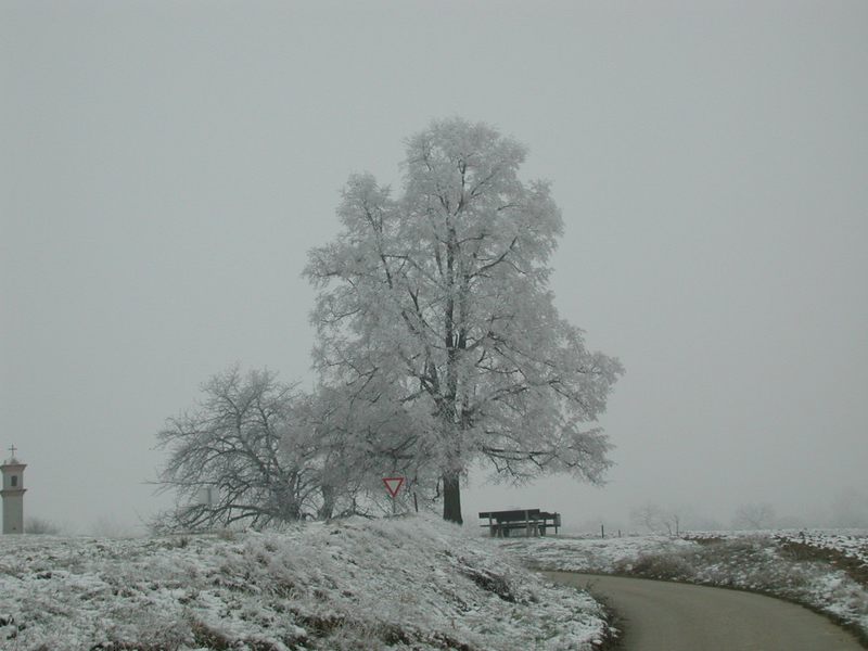 Winter 2003 bei Krems