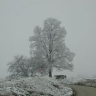 Winter 2003 bei Krems