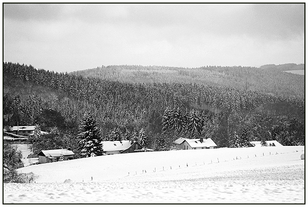 winter 2004